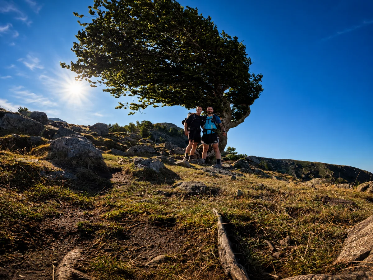 Hikers in the shade of a tree