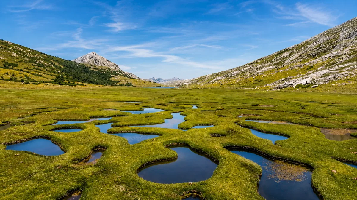 Green pozzines near Lake Nino, grassy meadows and winding streams ringed by mountains on the GR20