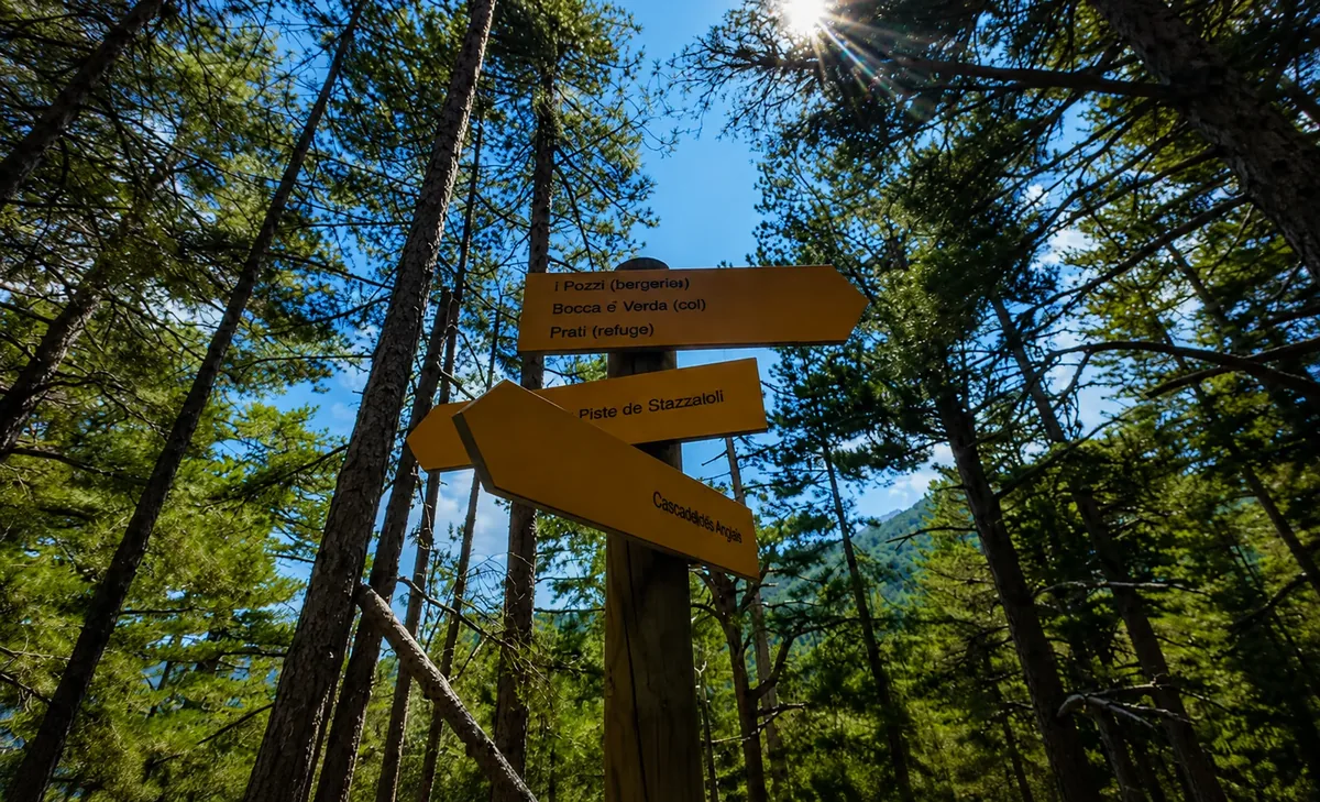 Stazzaloli forest, the start of the south