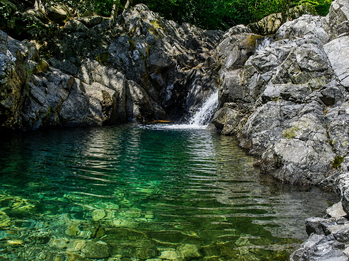 Vizzavona forest & Cascade des Anglais